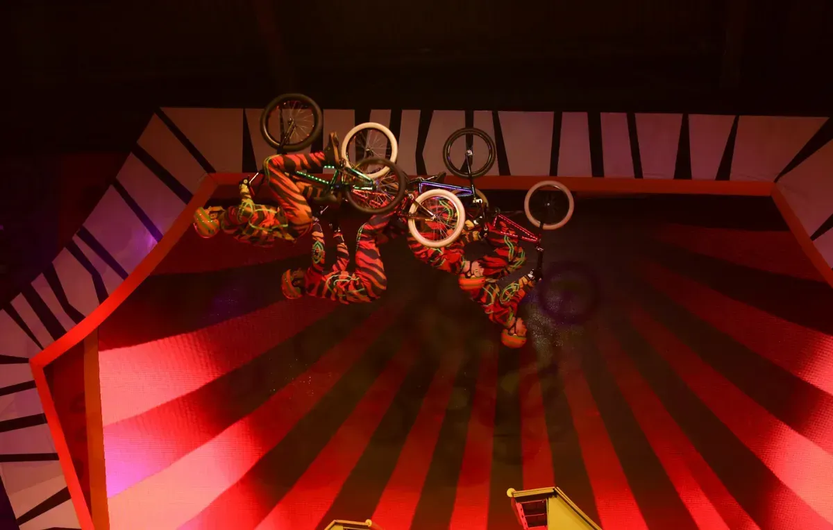 Imagem da galeria de Beto Carrero